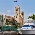 Redescoperirea șarpelui fir din Barbados: O speranță pentru biodiversitate și conservare