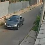 Cruzimea față de animale: O analiză a sancțiunilor și a problemelor sociale în România