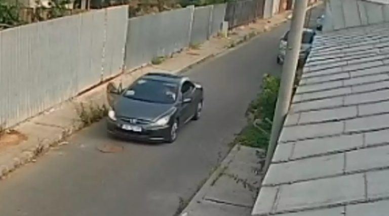 Cruzimea față de animale: O analiză a sancțiunilor și a problemelor sociale în România