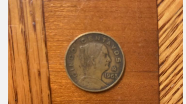 Comoara din Monede: Valoarea Uimitoare a Monedei de 5 Cenți și Implicațiile Sale în Numismatică