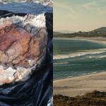 Descoperirea surprinzătoare de pe plajă: O grenadă de mână transformă o vacanță într-un coșmar