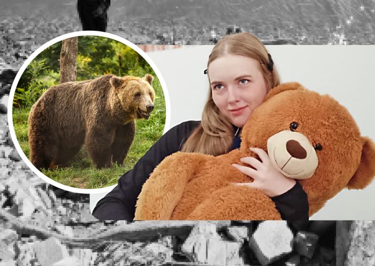 Controversa din spatele tragediei Andreei: O moarte misterioasă și acuzații grave de crimă