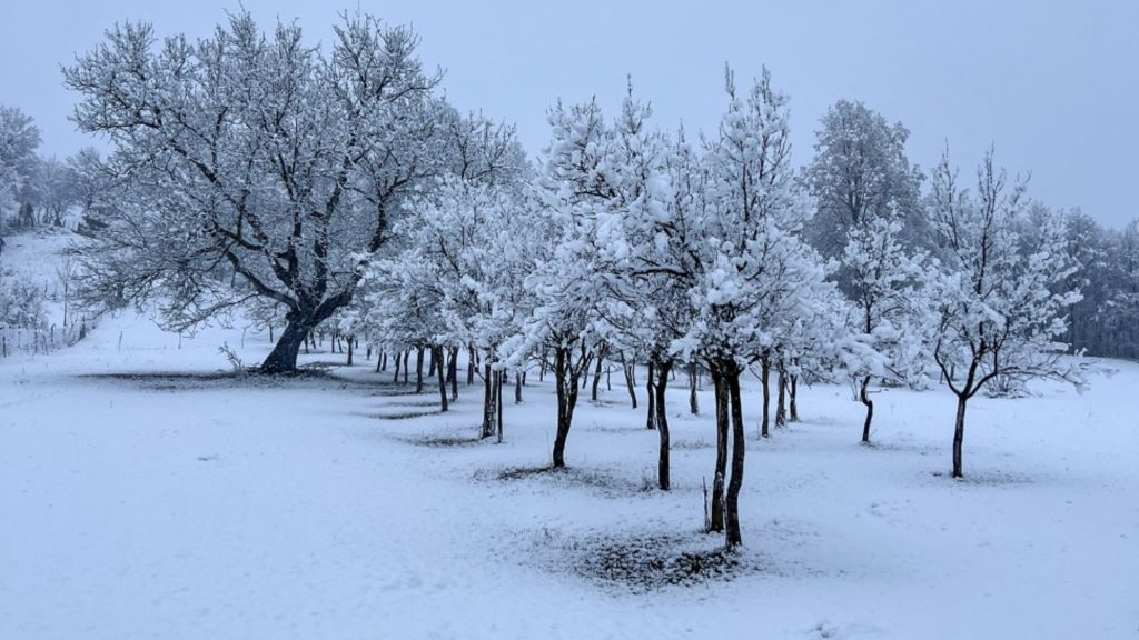 Meteo, România, 27 decembrie: fulguieli izolate, temperaturi scăzute și vânt intens în majoritatea regiunilor