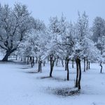 Meteo, România, 27 decembrie: fulguieli izolate, temperaturi scăzute și vânt intens în majoritatea regiunilor