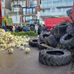 Fermierii francezi, proteste cu varză stricată și sicrie în fața casei lui Macron - VIDEO