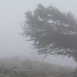ANM: COD ROȘU de vânt puternic pentru județul Caraș-Severin