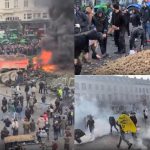 Protestul uriaș al fermierilor, pus pe pauză până în ianuarie. Imagini incredibile: belgienii au luat acasă cartofii aruncați de manifestați