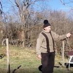 Situația tristă din România: satele din munți rămân fără animale