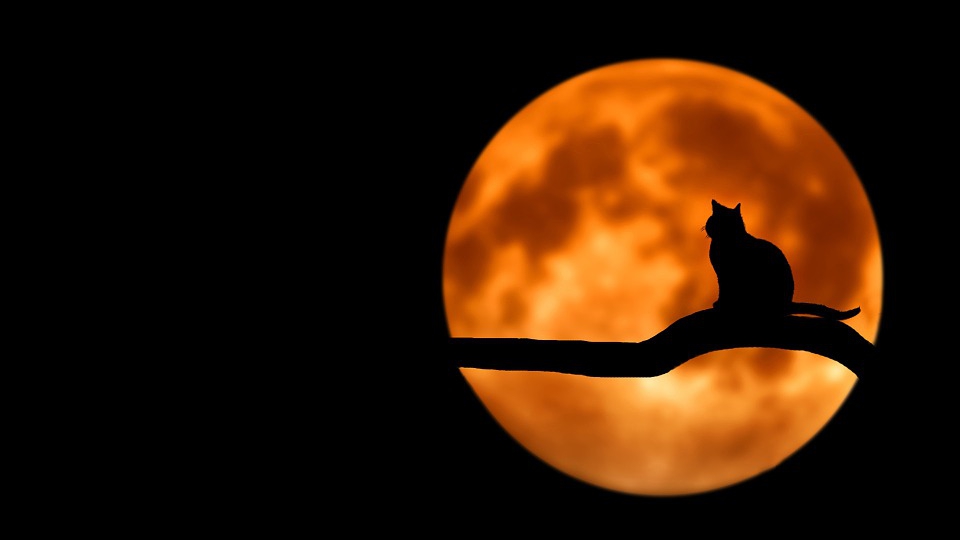 Ritualuri la Luna Plină, din data de 4 decembrie. Te ajută la îndeplinirea dorințelor
