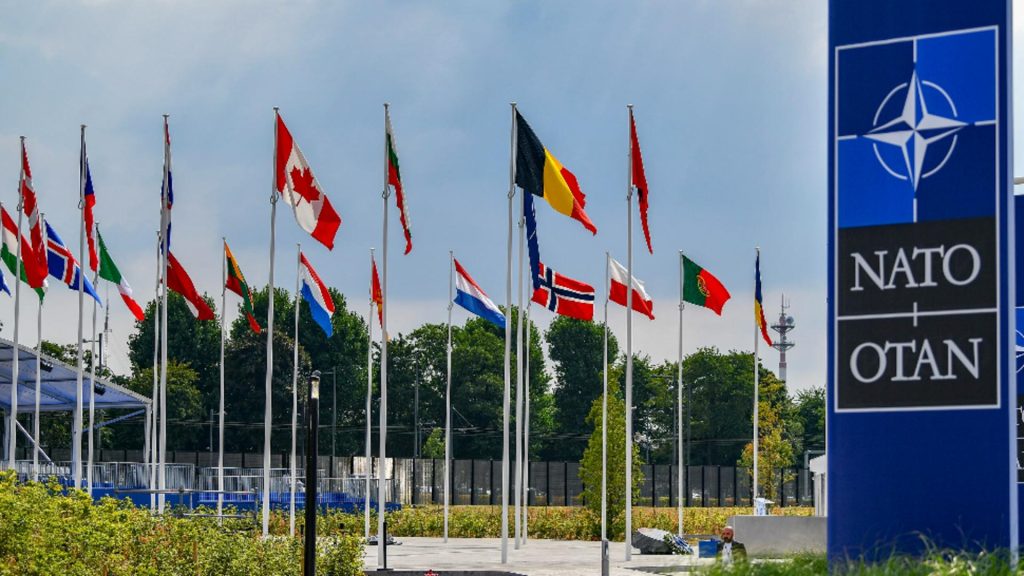 Anul în care Europa ar trebui să preia majoritatea capabilităților NATO, conform Pentagonului