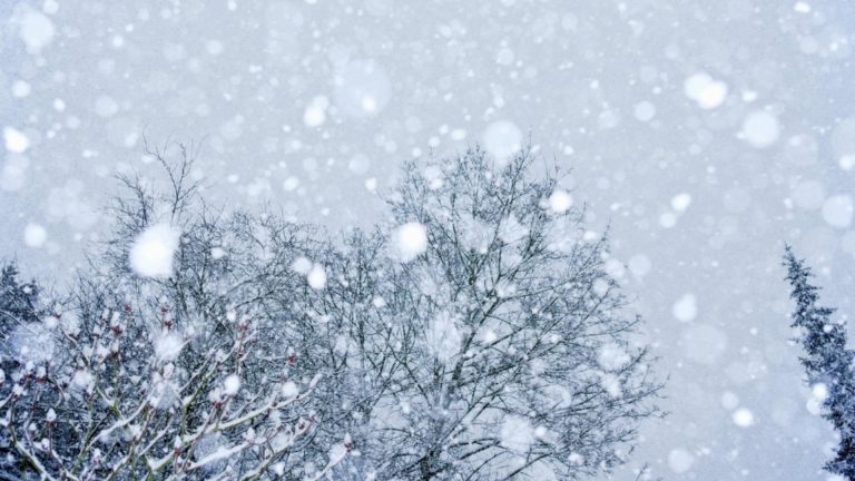 Ianuarie începe cu frig: temperaturi sub normalul perioadei și precipitații până pe 19 ianuarie