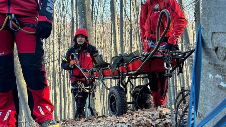 Descoperire neașteptată în Argeș: bărbat dispărut de două zile, găsit fără viață într-o zonă forestieră