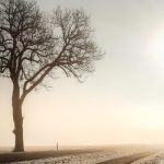 Prognoza meteo 12 decembrie. Cum va fi vremea azi