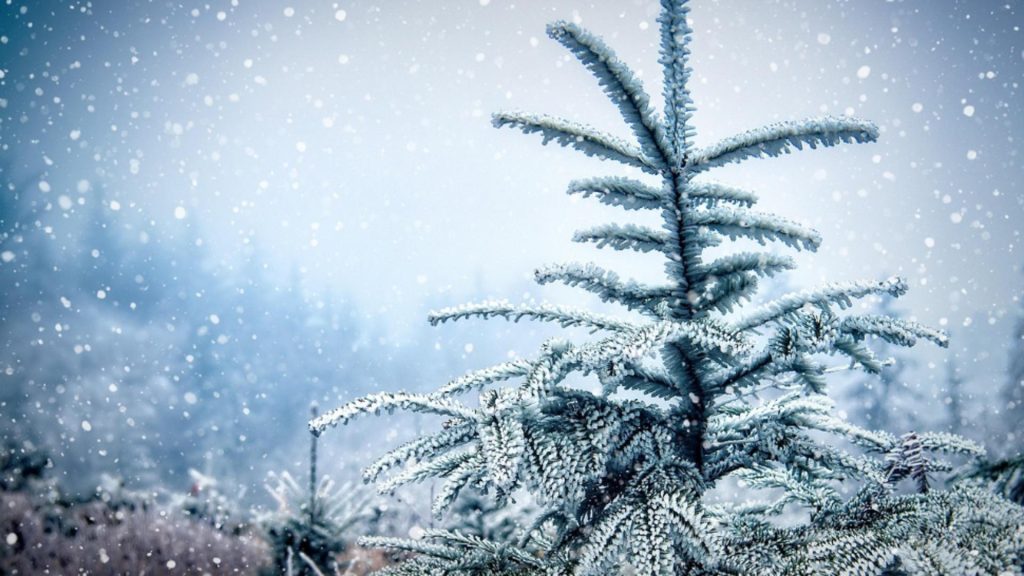 Vreme de iarnă adevărată de Crăciun. Meteorologii au emis COD GALBEN de ninsori, viscol și polei  - HARTA