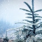 Vreme de iarnă adevărată de Crăciun. Meteorologii au emis COD GALBEN de ninsori, viscol și polei  - HARTA