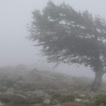 Cod galben de vânt puternic: rafale de până la 110 km/h, în zonele montane - HĂRȚILE cu zonele vizate