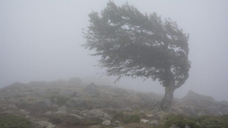 Cod portocaliu de vânt puternic în Caraș-Severin. Avertizări meteo în mai multe județe până sâmbătă