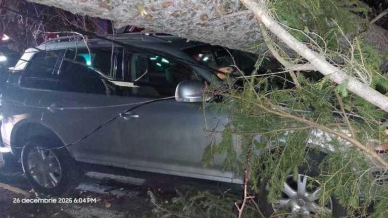 Furtuna a făcut ravagii pe Valea Prahovei: copaci smulși de vânt la Sinaia și un autoturism avariat