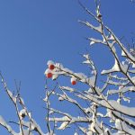 Vremea se schimbă săptămâna viitoare: meteorologii anunță scăderea temperaturilor. Ce ne așteaptă înainte de Crăciun?