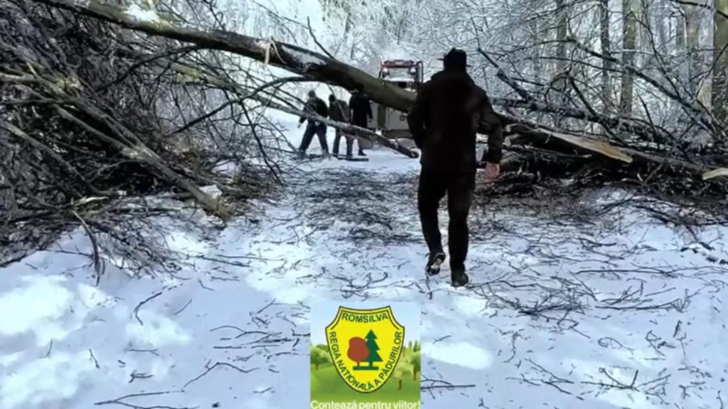 Intervenție în condiții extreme în Caraș-Severin: drumuri blocate de copaci și zăpadă - VIDEO