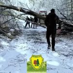 Intervenție în condiții extreme în Caraș-Severin: drumuri blocate de copaci și zăpadă - VIDEO