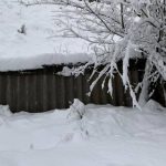 Alertă meteo COD GALBEN: ninsoare și viscol în munți, strat de zăpadă de până la 15 cm în Transilvania și Maramureș - HARTA cu zonele vizate