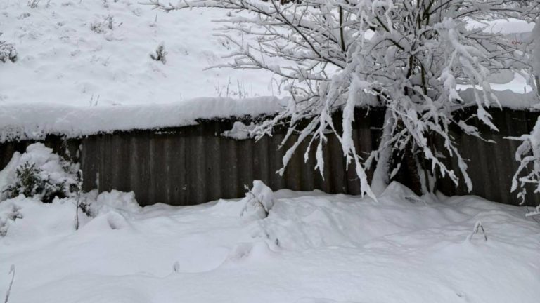 Alertă meteo COD GALBEN: ninsoare și viscol în munți, strat de zăpadă de până la 15 cm în Transilvania și Maramureș - HARTA cu zonele vizate
