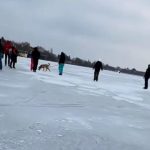 Gerul a înghețat lacul Snagov. Cetățenii s-au avântat pe gheață, după ce o fetiță a fost la un pas de tragedie la Craiova