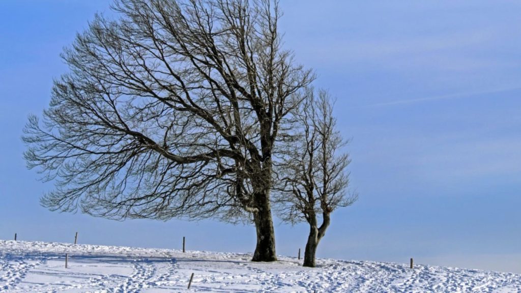 Meteorologii au emis noi avertizări de ninsori, intensificări ale vântului și ger. Vezi HARTA actualizată