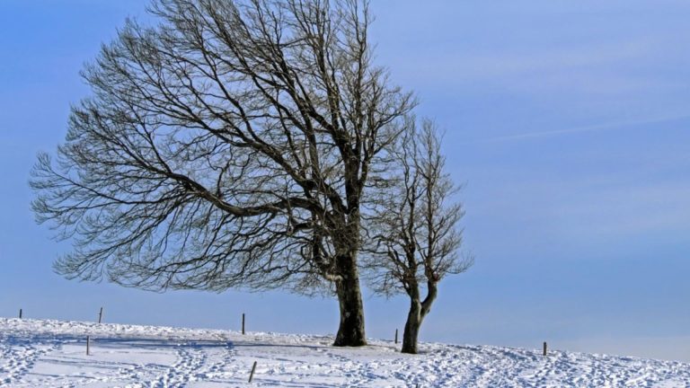 Meteorologii au emis noi avertizări de ninsori, intensificări ale vântului și ger. Vezi HARTA actualizată