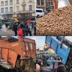 Agricultorii români protestează mâine la Strasbourg împotriva acordului UE–Mercosur
