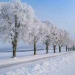 România, lovită de una dintre cele mai geroase nopți: temperaturile maxime –8 grade. Unde va fi frig de îngheață pietrele – HARTA