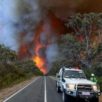 Australia declară stare de catastrofă din cauza incendiilor devastatoare și valului de căldură