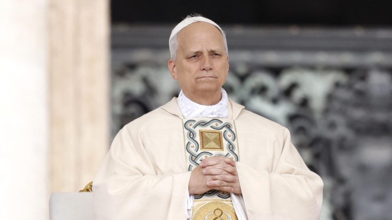 Papa Leon, apel la pace. Suveranul Pontif condamnă utilizarea forței militare în scopuri diplomatice: „Guvernele trebuie să protejeze drepturile umane și civile”