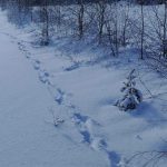 Salvamont Suceava anunță care sunt traseele montane pe care turiștii trebuie să le evite. Lista locurilor unde oamenii sunt în mare pericol