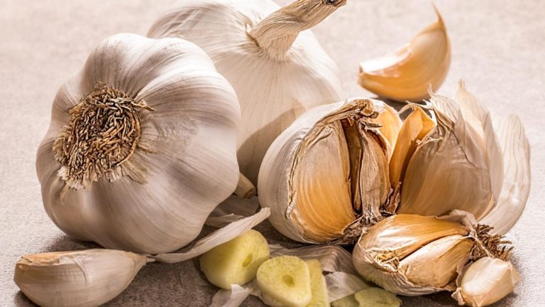 Cele mai bune antibiotice naturale. Remediile eficiente și la îndemâna oricui