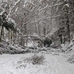 Hunedoara, sub efectele ninsorilor abundente: avarii la rețeaua electrică în cinci localități