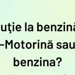 Motorină sau benzină? O privire amuzantă asupra alegerilor cotidiene și a dilemelor sociale