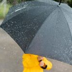 Prognoza Meteo pentru București: O Săptămână de Vreme Schimbătoare și Implicațiile Sale