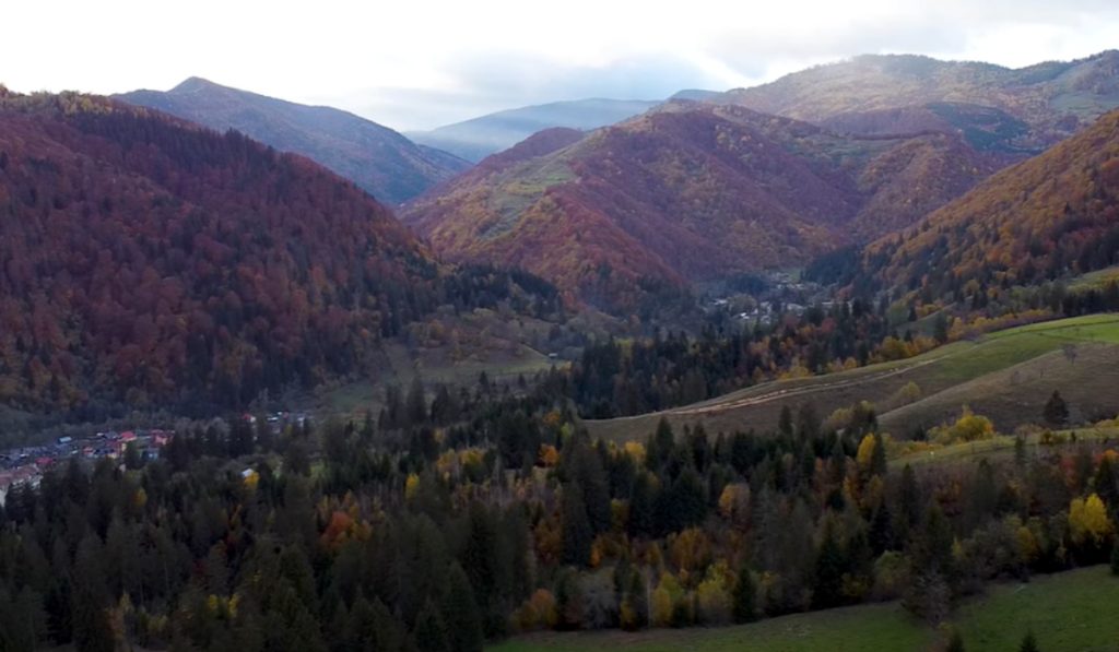 Soveja: O Oază de Aer Curat în Inima României