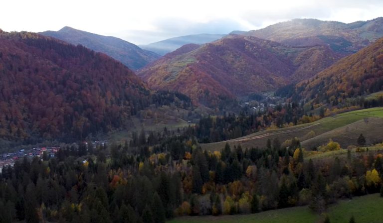 Soveja: O Oază de Aer Curat în Inima României