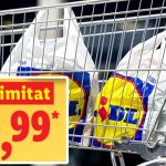 Reduceri de Lux la LIDL: Oportunități de Înfrumusețare a Meselor de Primăvară