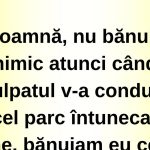 Umorul ca refugiu: Analiza bancurilor și impactul lor asupra societății contemporane