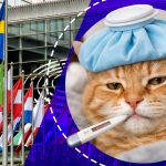Italia Deschide Drumul: Concediul Medical pentru Îngrijirea Animalelor de Companie – O Revoluție în Relația Dintre Oameni și Animale