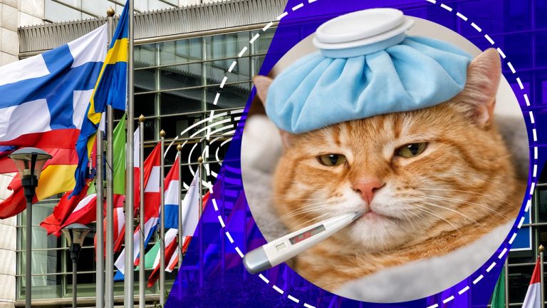 Italia Deschide Drumul: Concediul Medical pentru Îngrijirea Animalelor de Companie – O Revoluție în Relația Dintre Oameni și Animale