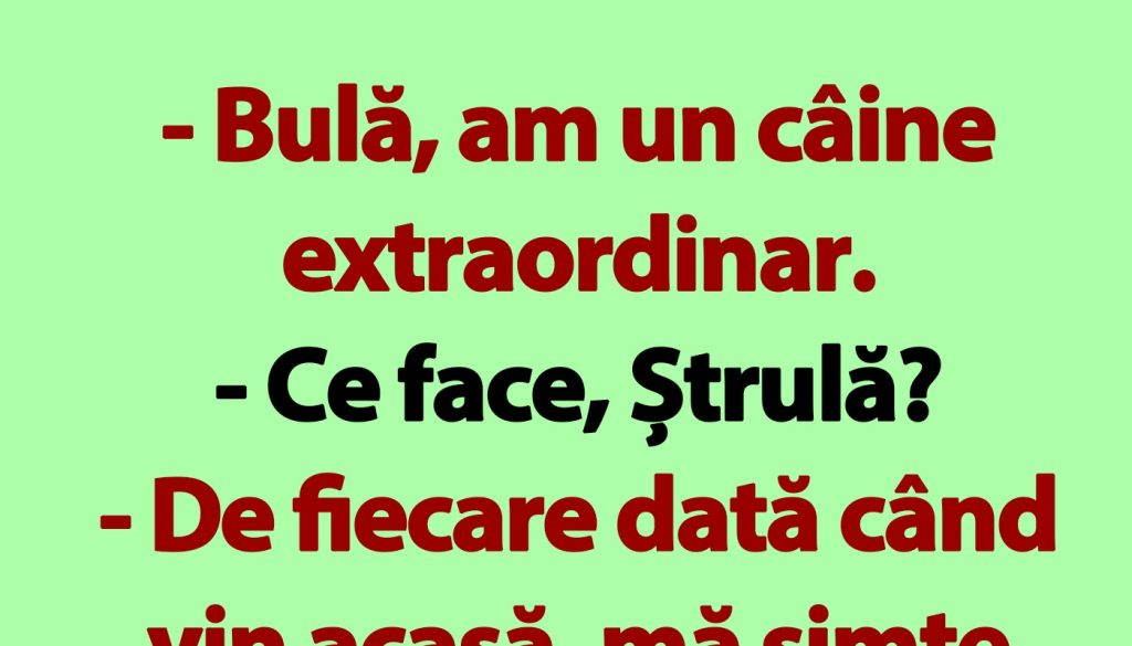 Umorul Românesc: De la Bulă și Câinele Extraordinar la Reflecții Sociale