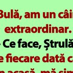 Umorul Românesc: De la Bulă și Câinele Extraordinar la Reflecții Sociale
