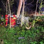 Tragedia de Paște din Snagov: O analiză detaliată a accidentului rutier care a îndoliat două familii