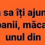 Umorul ca Reflexie a Societății: O Analiză a Bancurilor și Impactul Lor