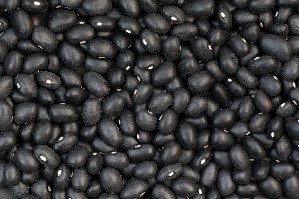 Fasolea neagră: O comoară nutritivă de bază în alimentația sănătoasă